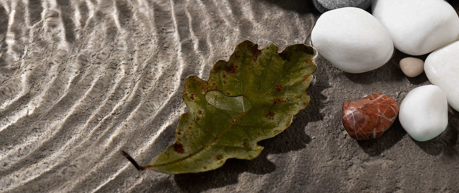 close up leaf floating water